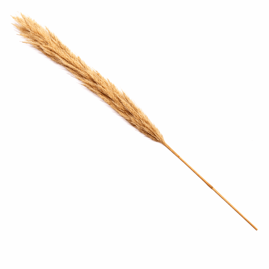 Heavenly Bamboo & Wheat Art Décor - Heavenly Home Furniture